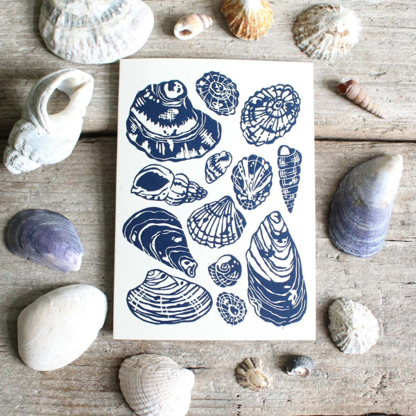 Shell Collection Greeting Card