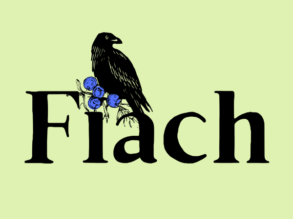 Fiach